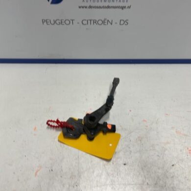 Citroen C5-X  Sensor (other) 2021