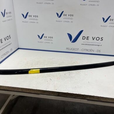 DS Automobiles DS4  Roof rail, right 2021 9830512280