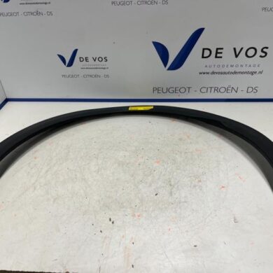Citroen C5-X  Wheel arch strip 2021 YL01956280