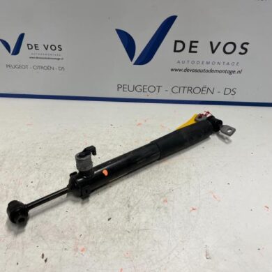 Citroen C5-X  Rear shock absorber, left 2021 9844719580