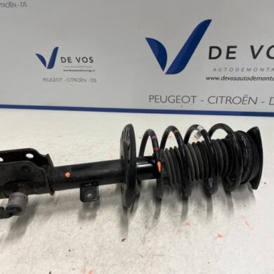 Citroen C5-X  Front shock absorber rod, right 2021 9844719280