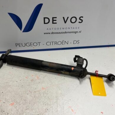 DS Automobiles DS4  Schokdemper links-achter 2021 9844814380