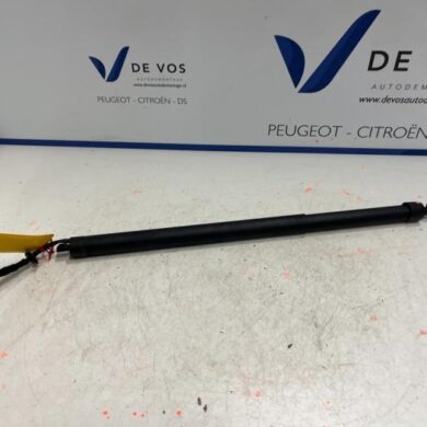 Peugeot 5008  Rear gas strut, left 2022 9830770680