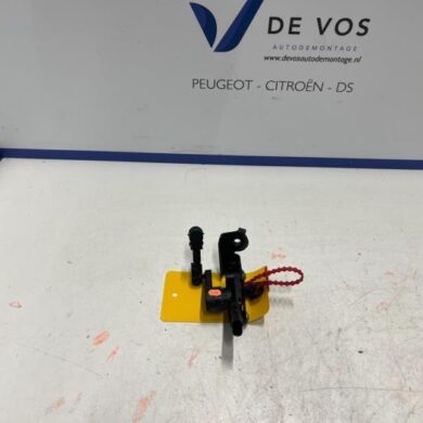 Citroen C5-X  Sensor (other) 2021 98167129980