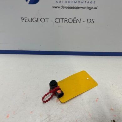 Peugeot Expert 2.0 Blue HDi 120 16V PDC Sensor 2020 1609981080