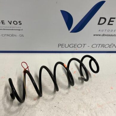 DS Automobiles DS4 1.2 12V PureTech 130 Schroefveer achter 2021 9839447080