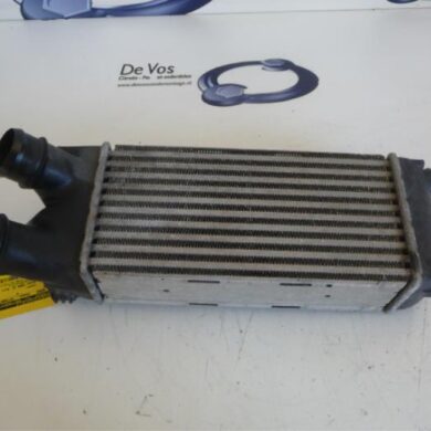 Citroen Berlingo  Intercooler 9HT-9HT9H03 2008 0384L9
