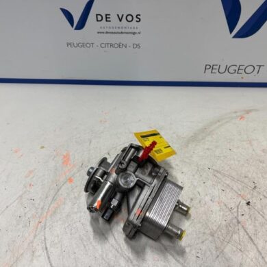 Peugeot 5008  Oil filter housing AHW 9807594380