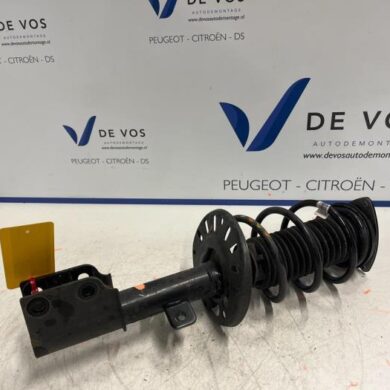 DS Automobiles DS4 1.2 12V PureTech 130 Front shock absorber rod, right 2021 9843213380