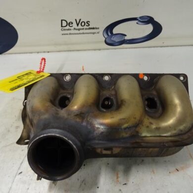 Peugeot 406  Exhaust manifold 2001 0341J5