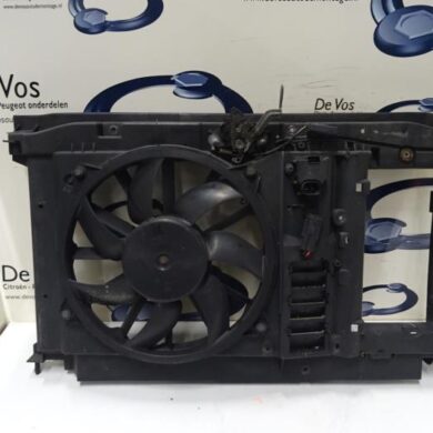 Peugeot 308  Koelvinhuis 2012 1253K4-9677113480