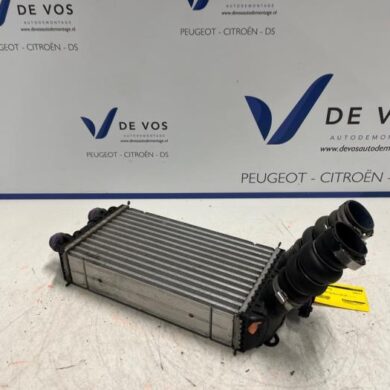 Opel Mokka 1.2 Turbo 12V Intercooler HNS 2022 9824742280