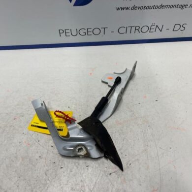 DS Automobiles DS7 Crossback  Bonnet Hinge 2019 9829653580