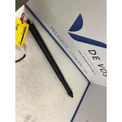 Peugeot 3008 1.2 12V PureTech Hybrid 48V Rear gas strut, left 2022 9830770280