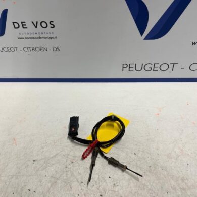 Peugeot 3008 1.5 BlueHDi 130 Uitlaat temperatuursensor YHZ 2023 9812376480