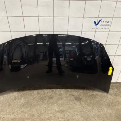 Citroen DS3 1.6 VTi 120 16V Bonnet 2011 7901R1