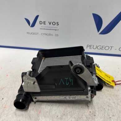 Peugeot 3008 1.2 12V PureTech Hybrid 48V Ladeluftkühler HN09 2022 9836073780