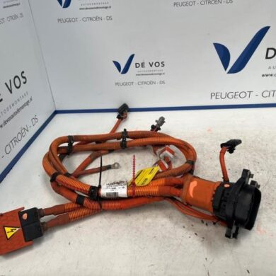 Peugeot 208 e-208 50 kWh Diversen ZK01 2021 9848717880-9834129480 20SVAJ