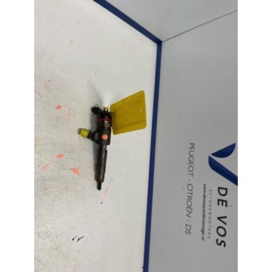 Citroen Berlingo 1.6 BlueHDI 100 Verstuiver (diesel) BHY 2017 9802776680-1610578480