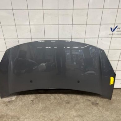 Citroen DS3 1.6 e-HDi Bonnet 2011 7901R1