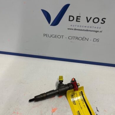 Citroen Berlingo 1.6 BlueHDI 100 Verstuiver (diesel) BHY 2017 9802776680-1610578480