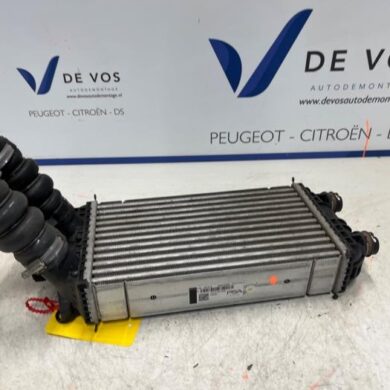 Peugeot 208 1.2 Vti 12V PureTech 100 Intercooler HNK 2020 9824742280
