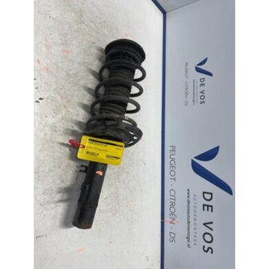 Citroen C-Elysee 1.6 Blue Hdi 100 Front shock absorber rod, right 2017 9819219280