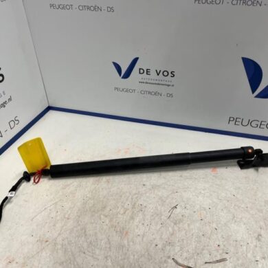 Citroen C5 Aircross 1.2 e-THP PureTech 130 Rear gas strut, left 2021 9817432680