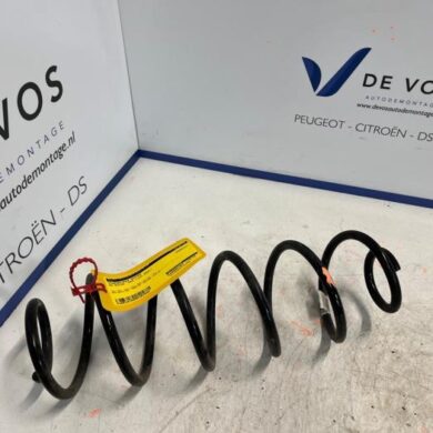 DS Automobiles DS4 1.6 16V PureTech 215 Schroefveer achter 2021 9839447080