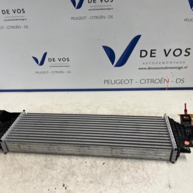 DS Automobiles DS4 1.6 16V PureTech 215 Intercooler 5G07 2021 9833004180