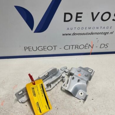 DS Automobiles DS4 1.6 16V PureTech 215 Motorhaube Scharnier 2021 9830840580