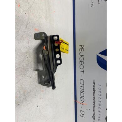 Peugeot 3008 1.2 12V PureTech Hybrid 48V Motorhaube Scharnier 2022 9814188880