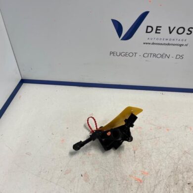 DS Automobiles DS4 1.6 16V PureTech 215 Sensor (sonstige) 2021 9816729980