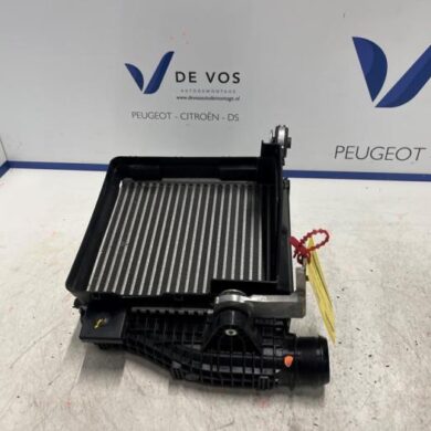 Peugeot 3008 1.2 12V PureTech Hybrid 48V Intercooler HN09 2022 9836073780