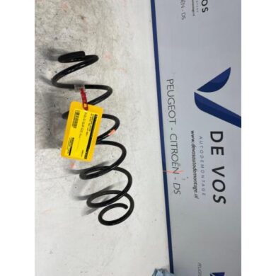 DS Automobiles DS4 1.6 16V PureTech 215 Schroefveer achter 2021 9839447080