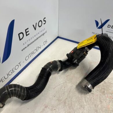 DS Automobiles DS4 1.6 16V PureTech 215 Intercooler Slang 5G07 2021 9813408180-9813408380