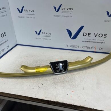 Peugeot 206 1.6 16V Grille 2004 7804H4