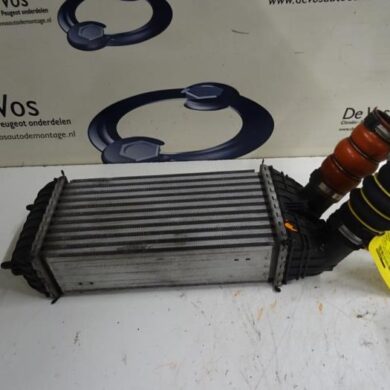 Citroen C4 Cactus 1.6 Blue Hdi 100 Intercooler BH02-BHY 2015 9803900780