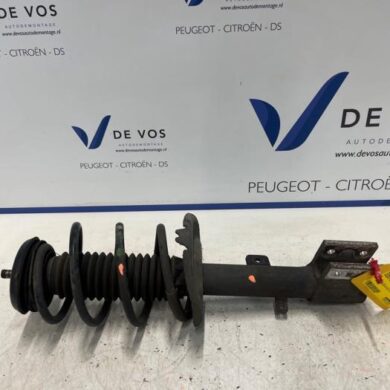 Peugeot RCZ 2.0 HDi 16V FAP Front shock absorber rod, left 2013 5208N8
