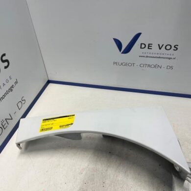 Peugeot RCZ 2.0 HDi 16V FAP Front wing, right 2013 1608416080