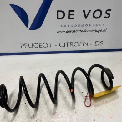 DS Automobiles DS4 1.6 16V E-Tense 225 Schroefveer achter 2022 9843739680