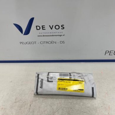 DS Automobiles DS4 1.6 16V E-Tense 225 Side Airbag 2022 9846939780