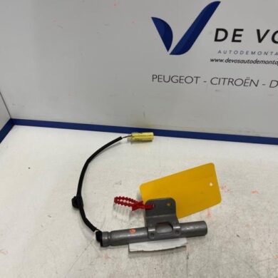 DS Automobiles DS4 1.6 16V E-Tense 225 Motorkap Scharnier 2022 9830981480