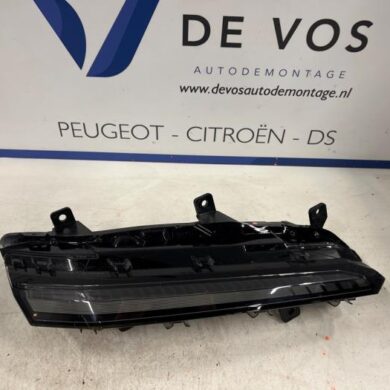 Peugeot 308 1.5 Blue HDi 130 16V Tageslicht links 2021 9835230980