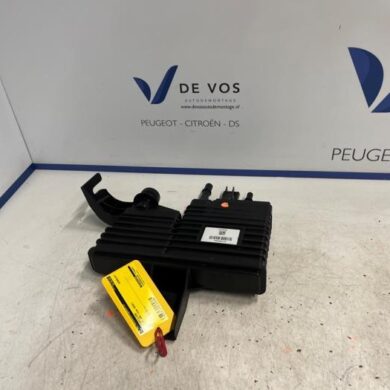 Peugeot 308 1.2 PureTech Hybrid 136 Koolstoffilter 2022 9834281680