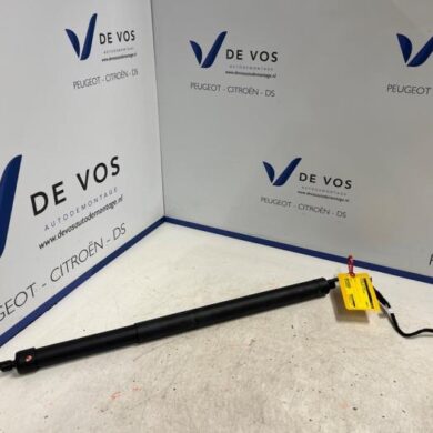 Opel Grandland X 1.2 Turbo 12V Gasdämpfer links hinten 2022 9828629780