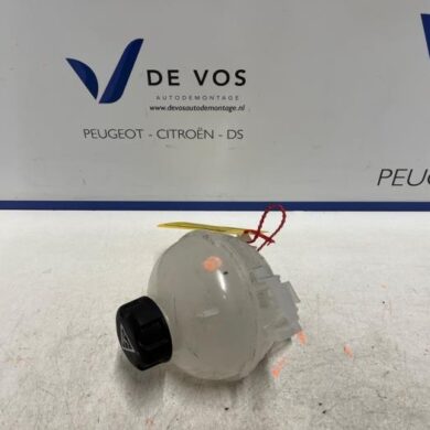 DS Automobiles DS4 1.2 12V Hybrid 136 Ausgleichsbehälter 2024 9850533480