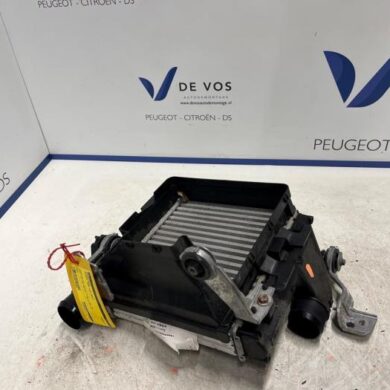 Peugeot 3008 1.2 12V PureTech Hybrid 48V Intercooler HN09 2022 9836073780