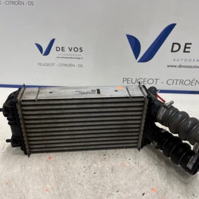 Opel Corsa 1.2 Turbo 12V 100 Intercooler HNK-HN05 2020 9824742280
