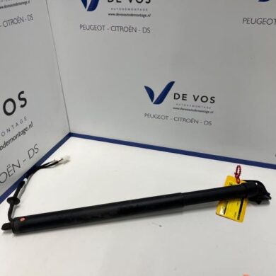 Citroen C5 Aircross 1.5 Blue HDi 130 16V Rear gas strut, left 2022 9817432680